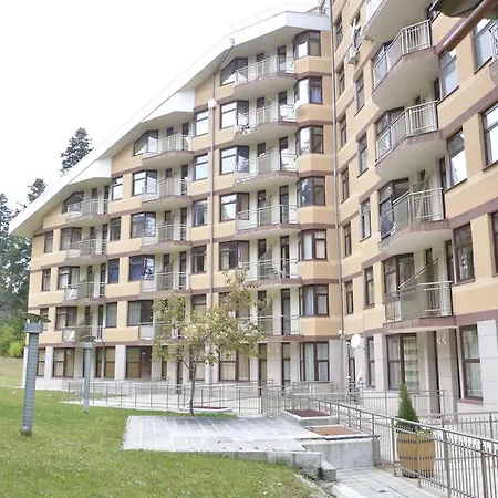 Persey Flora Borovec