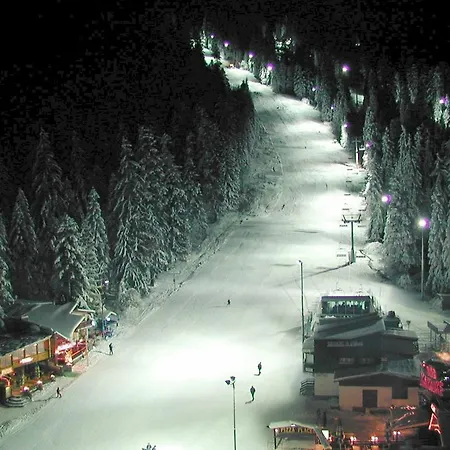 Aparthotel Persey Flora