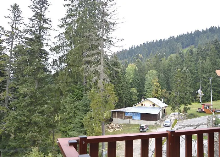 Persey Flora Hotel apartamentowy Borowec